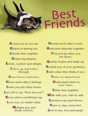 short best friends forever poems. Best Friends Forever Quote